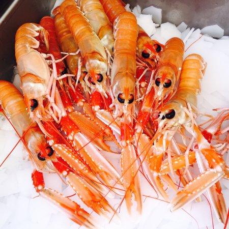 Blu Water Ristorante